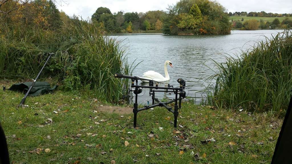 Rib Valley Fishing Lakes | Westmill Farm, Ware, Hertfordshire, Ware SG12 0ES, UK | Phone: 01920 462200