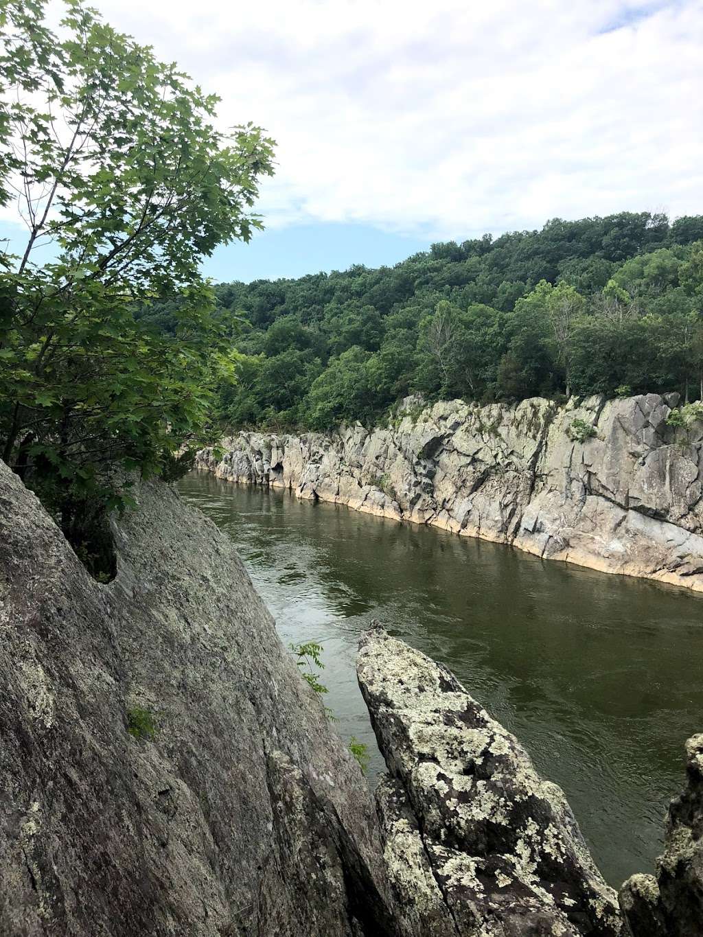 Bear Island | Billy Goat Trail Section A, Potomac, MD 20854