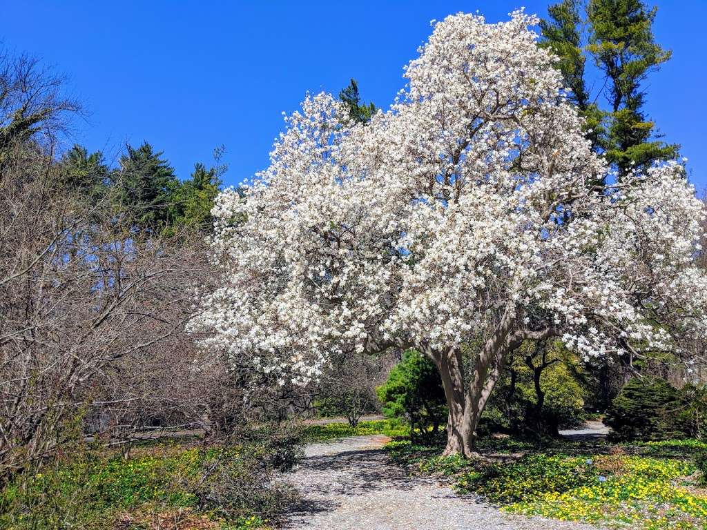 Planting Fields Arboretum | 1395 Planting Fields Rd, Oyster Bay, NY 11771, USA | Phone: (516) 922-9210