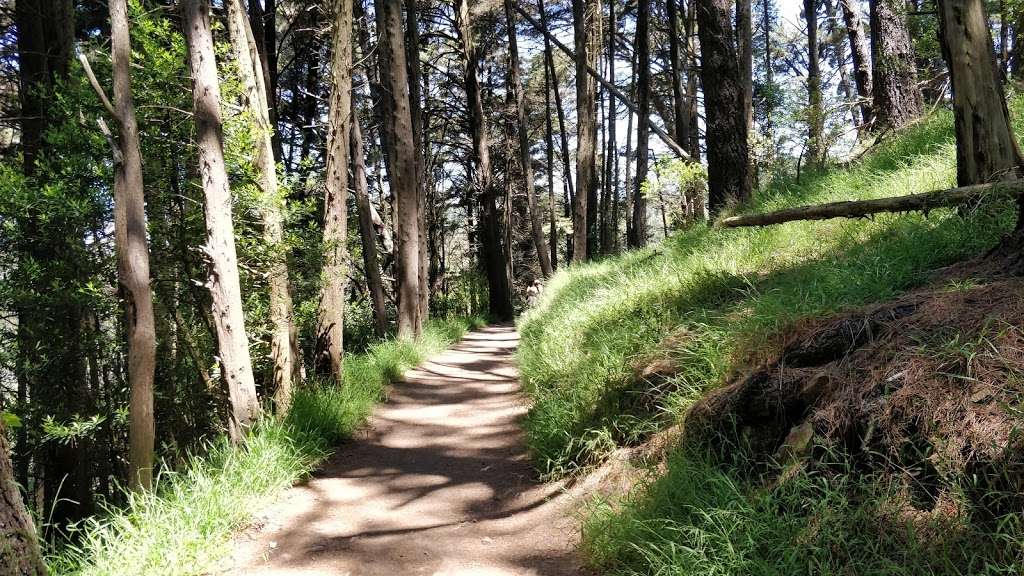 Sequoia Bayview Trail Trailhead | 10800 Skyline Blvd, Oakland, CA 94611, USA | Phone: (510) 238-3739