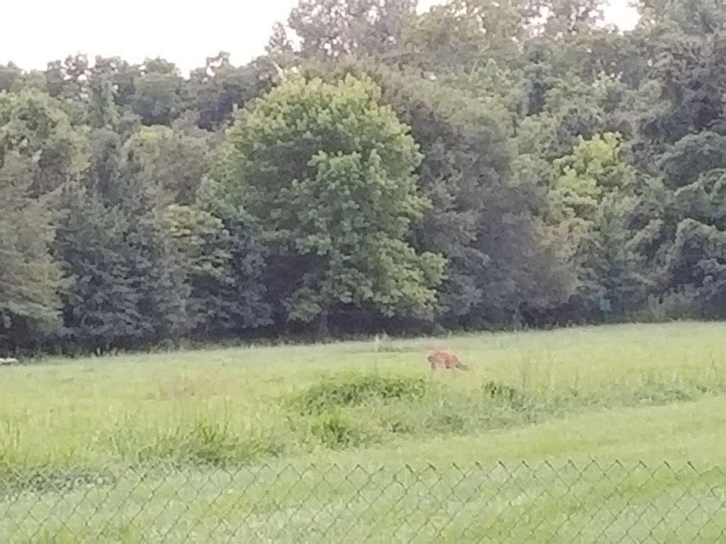 Blue River Parkway Trailhead and Minor Park Tennis Courts | 11500-, 11692 Blue River Rd, Kansas City, MO 64137, USA