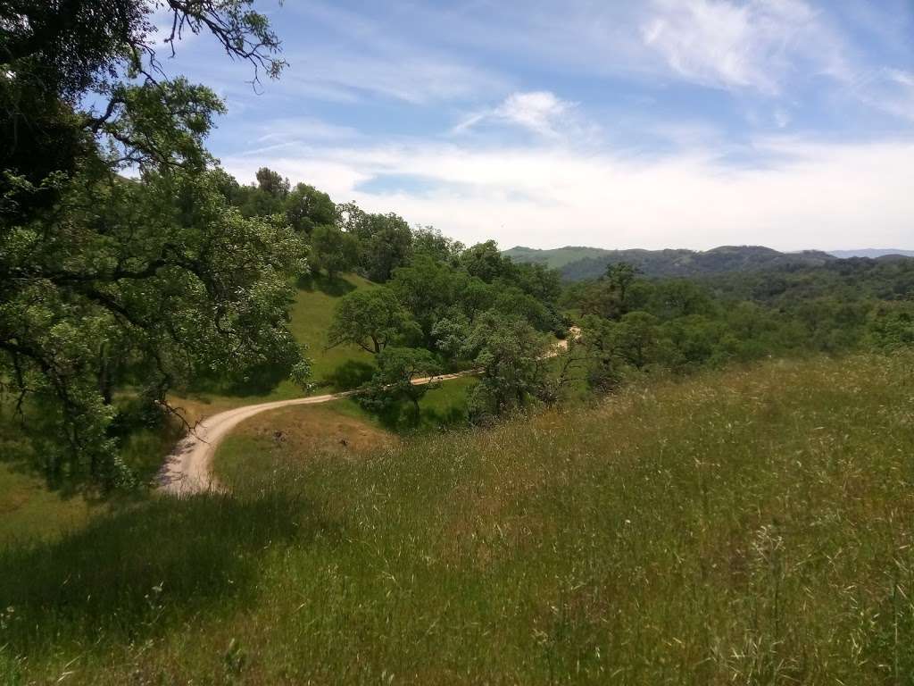 Blue Oak Ranch Reserve | 16070 Mt Hamilton Rd, Mt Hamilton, CA 95140, USA | Phone: (307) 760-8031