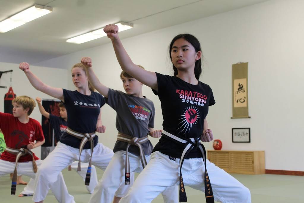 Karatedo Shinyokai | 7512 Fairmount Ave, El Cerrito, CA 94530, USA | Phone: (510) 575-9253