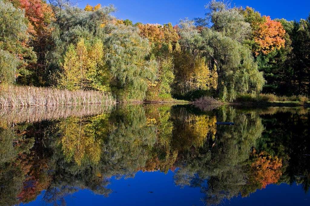 Nescopeck State Park | 1137 Honey Hole Rd, Drums, PA 18222, USA | Phone: (570) 403-2006