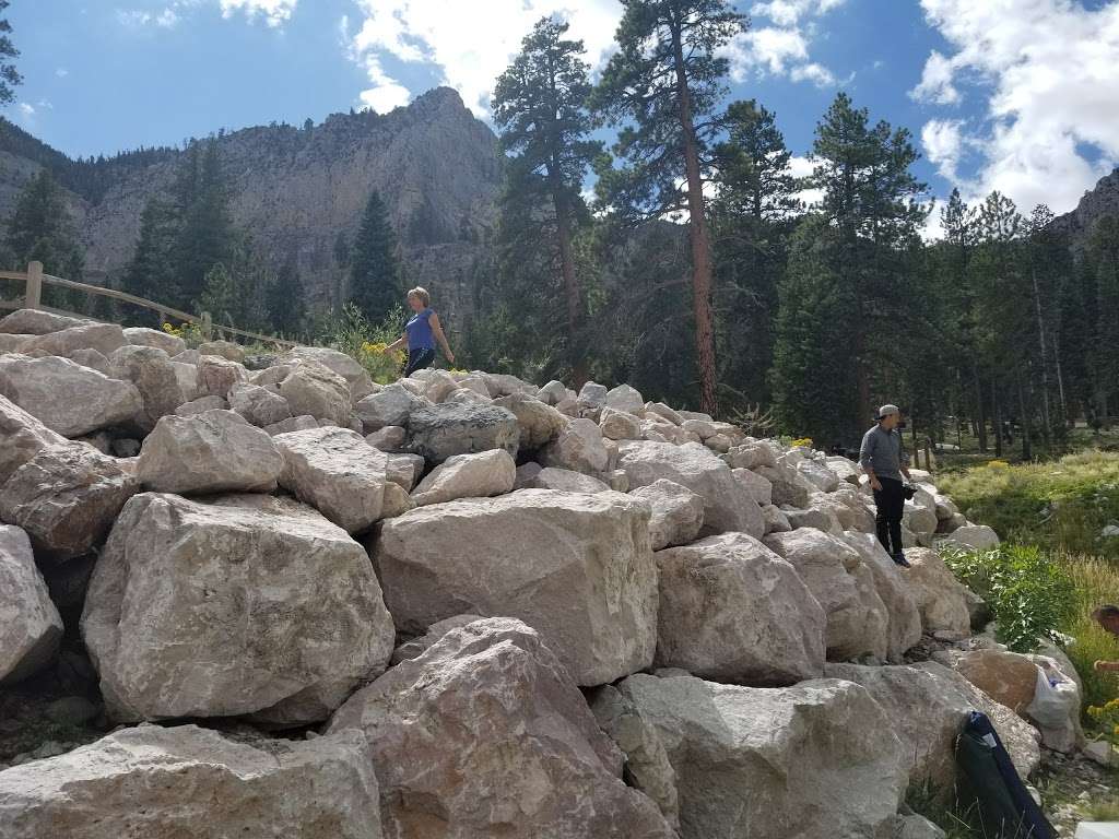 Cathedral Rock Group Picnic area | Mt Charleston, NV 89124, USA | Phone: (702) 872-5486