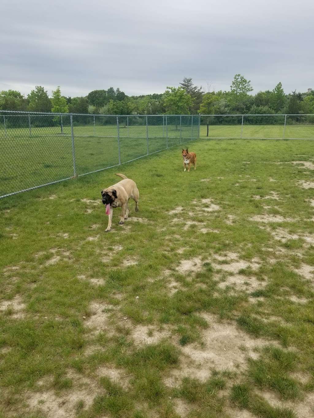 Cuddy Dog Park | Colonial Dr, Perkiomenville, PA 18074