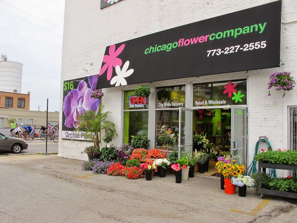 Chicago Flower Company | 3032 W Chicago Ave, Chicago, IL 60622, USA | Phone: (773) 227-2555