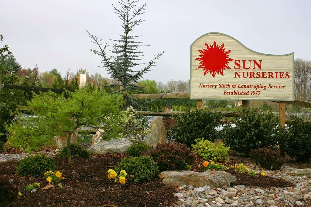 Sun Nurseries | 14790 Bushy Park Rd, Woodbine, MD 21797 | Phone: (410) 442-2090