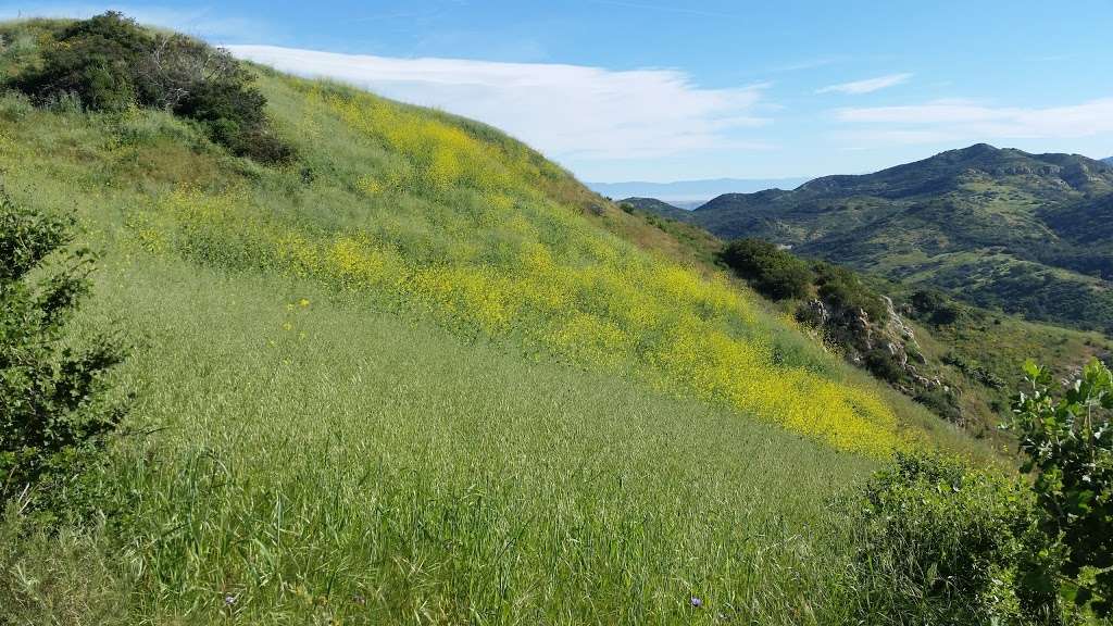 Anaheim Hills Riding and Walking Trail | 6984 E Overlook Terrace, Anaheim, CA 92807, USA