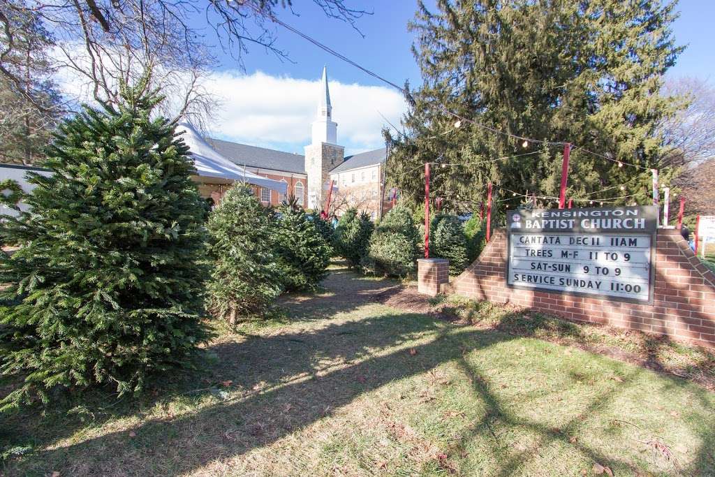 NCOC Christmas Trees | 10100 Connecticut Ave, Kensington, MD 20895 | Phone: (301) 946-6262