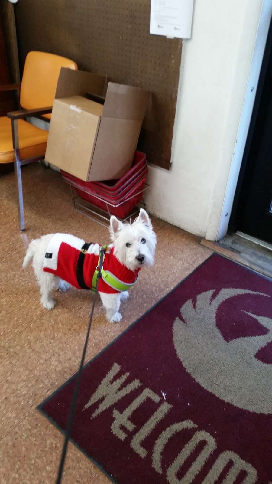 Heard Meat Market | 501 S Main St, Bangor, PA 18013, USA | Phone: (610) 588-1195