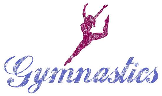 Goldens Gymnastics Center Inc | 1105 Lesco Rd, Kankakee, IL 60901, USA | Phone: (815) 936-1304