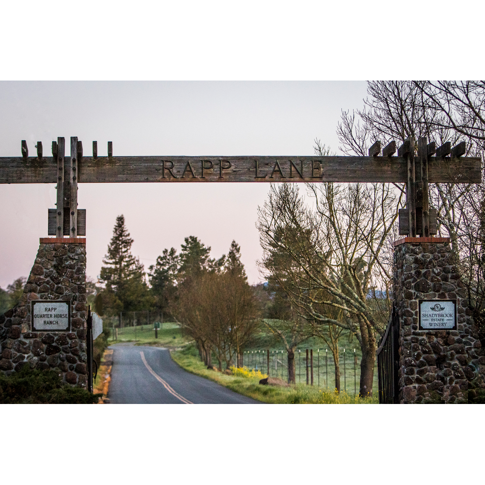 Napa Valley Trail Rides | 100 Rapp Ln, Napa, CA 94558, USA | Phone: (707) 255-5661