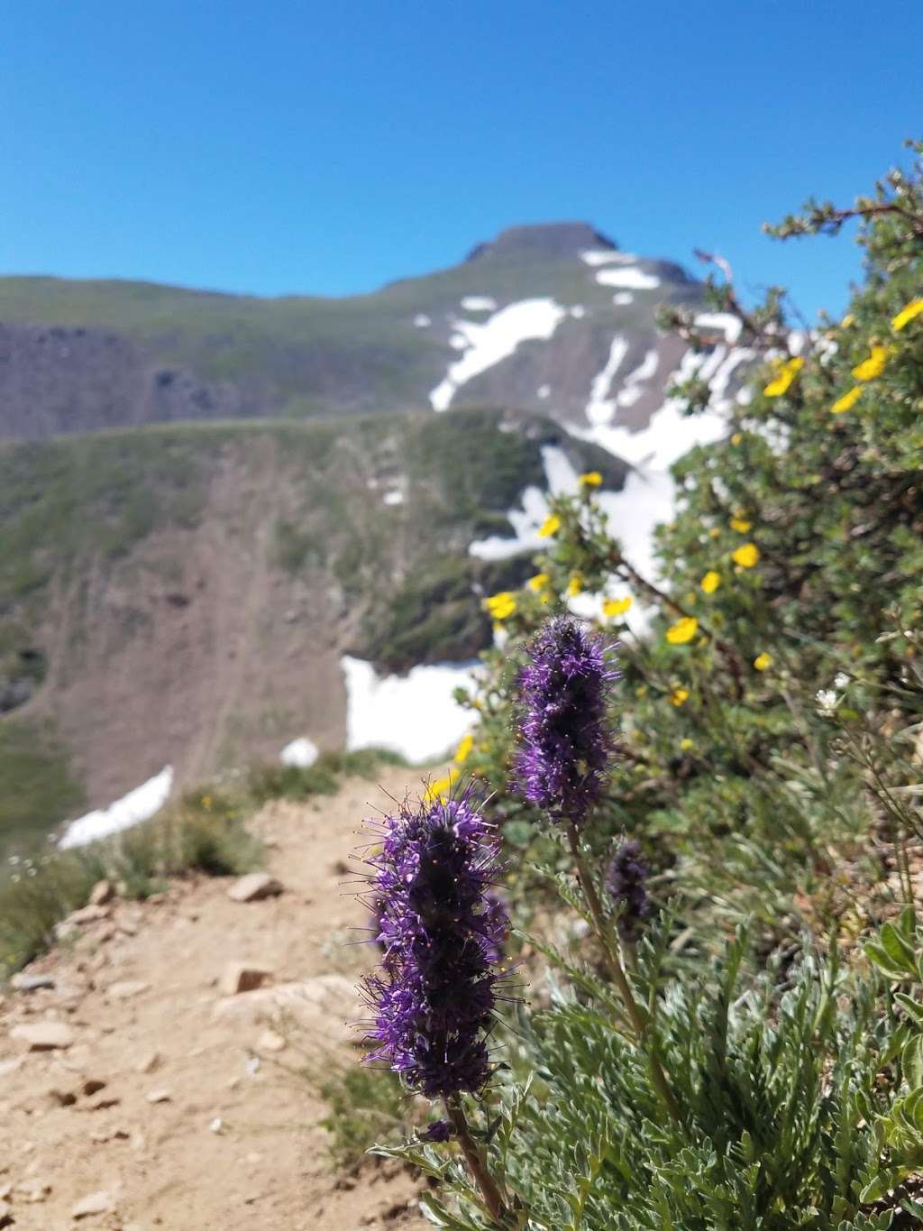 Heart Lake Trailhead | Co Rd 16, Nederland, CO 80466, USA