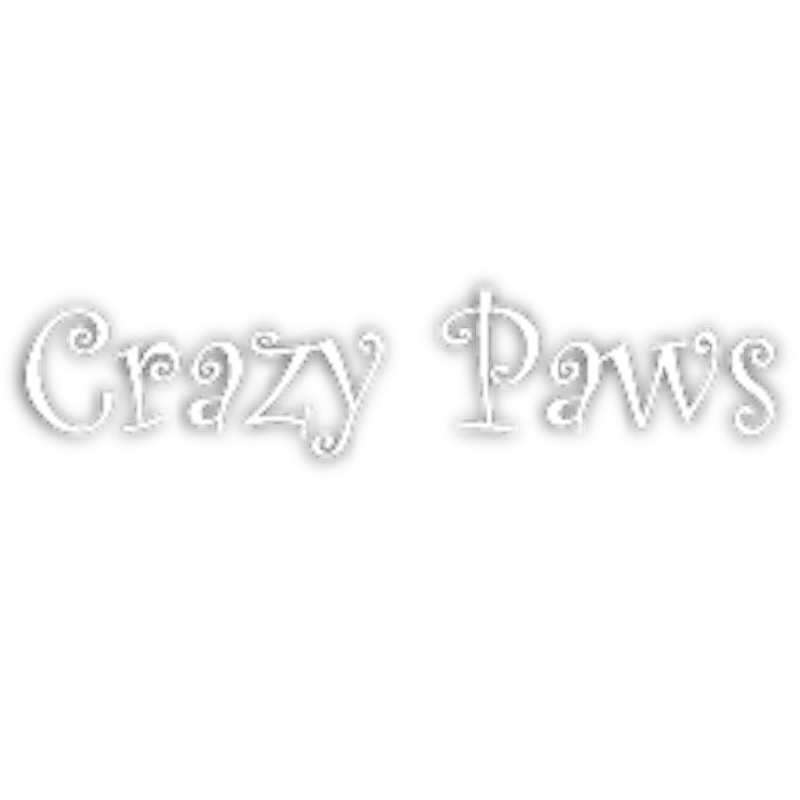 Crazy Paws Veterinary Hospital | 234 King St, Cohasset, MA 02025, USA | Phone: (781) 383-3373