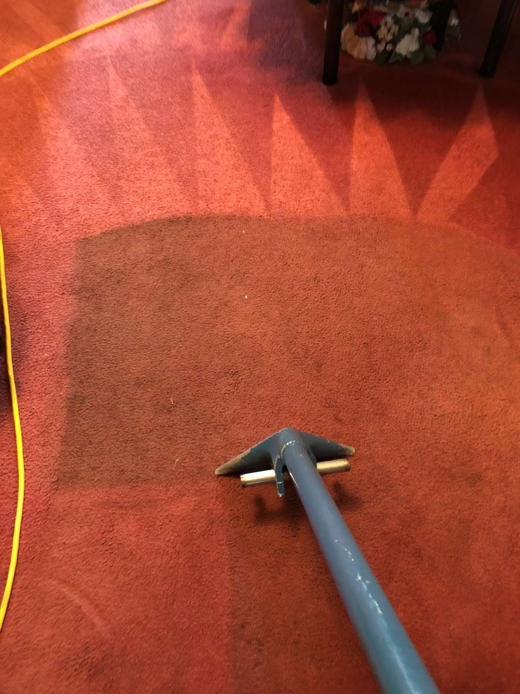 Steves Carpet Clean Rx | 6209 64th St, Kenosha, WI 53142 | Phone: (262) 359-9150