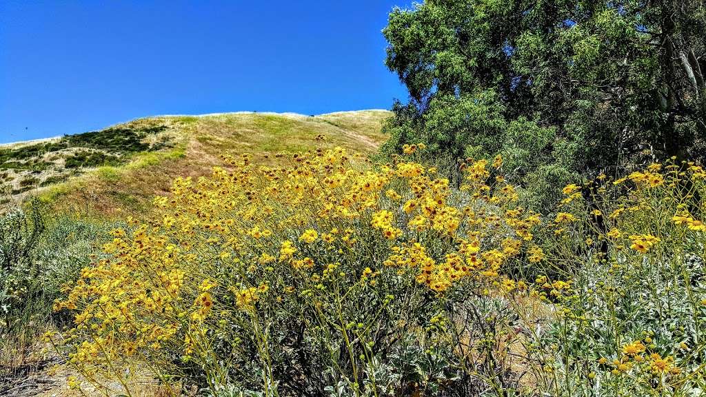 Crafton Hills Open Space Preserve | 33787-34079 Crafton Hills Ridge Trail, Mentone, CA 92359, USA