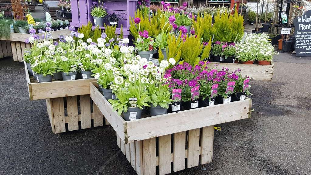 Aylett Nurseries Ltd. | N Orbital Rd, St Albans AL2 1DH, UK | Phone: 01727 822255