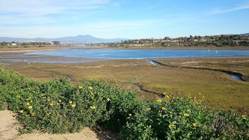 Upper Newport Bay Nature Preserve | 2301 University Dr, Newport Beach, CA 92660, USA | Phone: (949) 923-2290