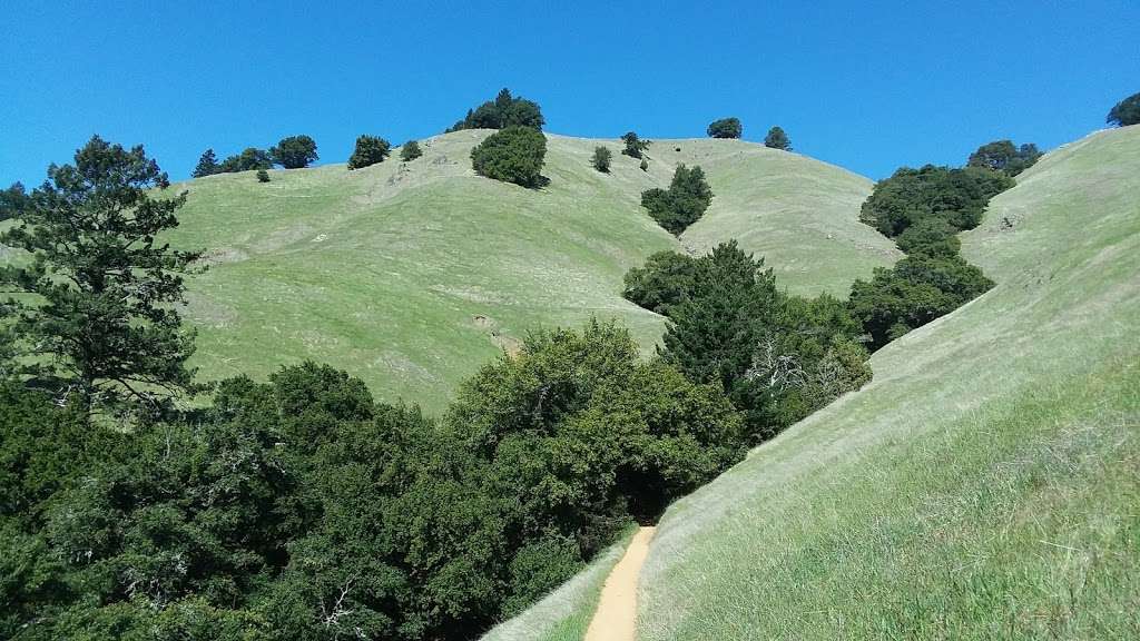 Mount Tamalpais State Park | 3801 Panoramic Hwy, Mill Valley, CA 94941, USA | Phone: (415) 388-2070