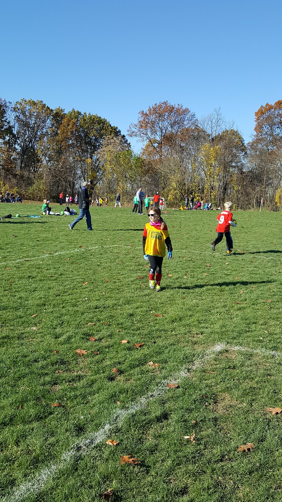 Collier Community Park | 5 Pvt Lobaugh Dr l, Oakdale, PA 15071, USA | Phone: (724) 693-0780