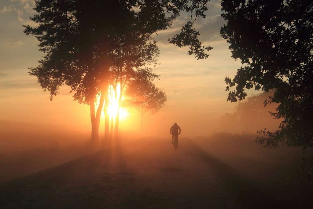 Vector Cycle Works | 18737 McKeon Ct, Noblesville, IN 46062, USA | Phone: (317) 833-0702