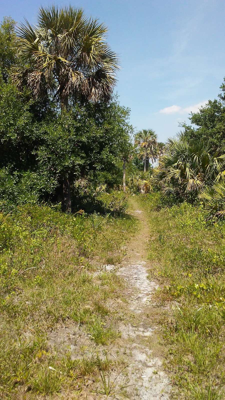 Dupuis Trailhead | 22500 SW Kanner Hwy, Indiantown, FL 34956, USA