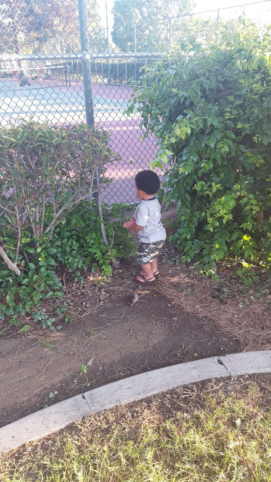 Koehler Park | 15352 Walnut St, Fontana, CA 92336, USA | Phone: (909) 349-6900