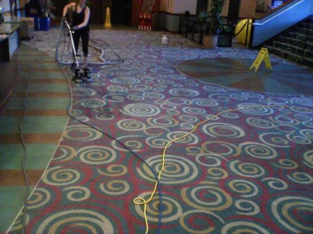 Precision Carpet Cleaning | Tonganoxie, KS 66086, USA | Phone: (785) 250-4369