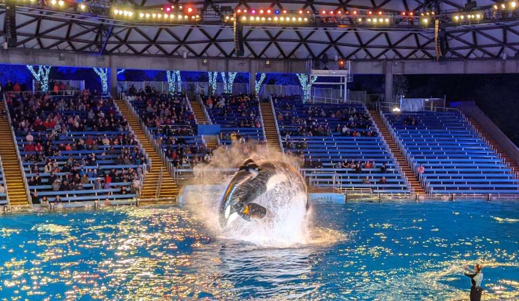 SeaWorld San Antonio | 10500 Sea World Dr, San Antonio, TX 78251, USA | Phone: (210) 520-4732