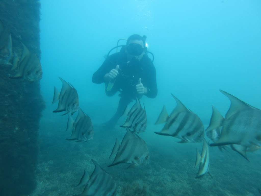 Private Scuba & Snorkel | 3500 Springdale Blvd, Palm Springs, FL 33461, USA | Phone: (954) 547-4818