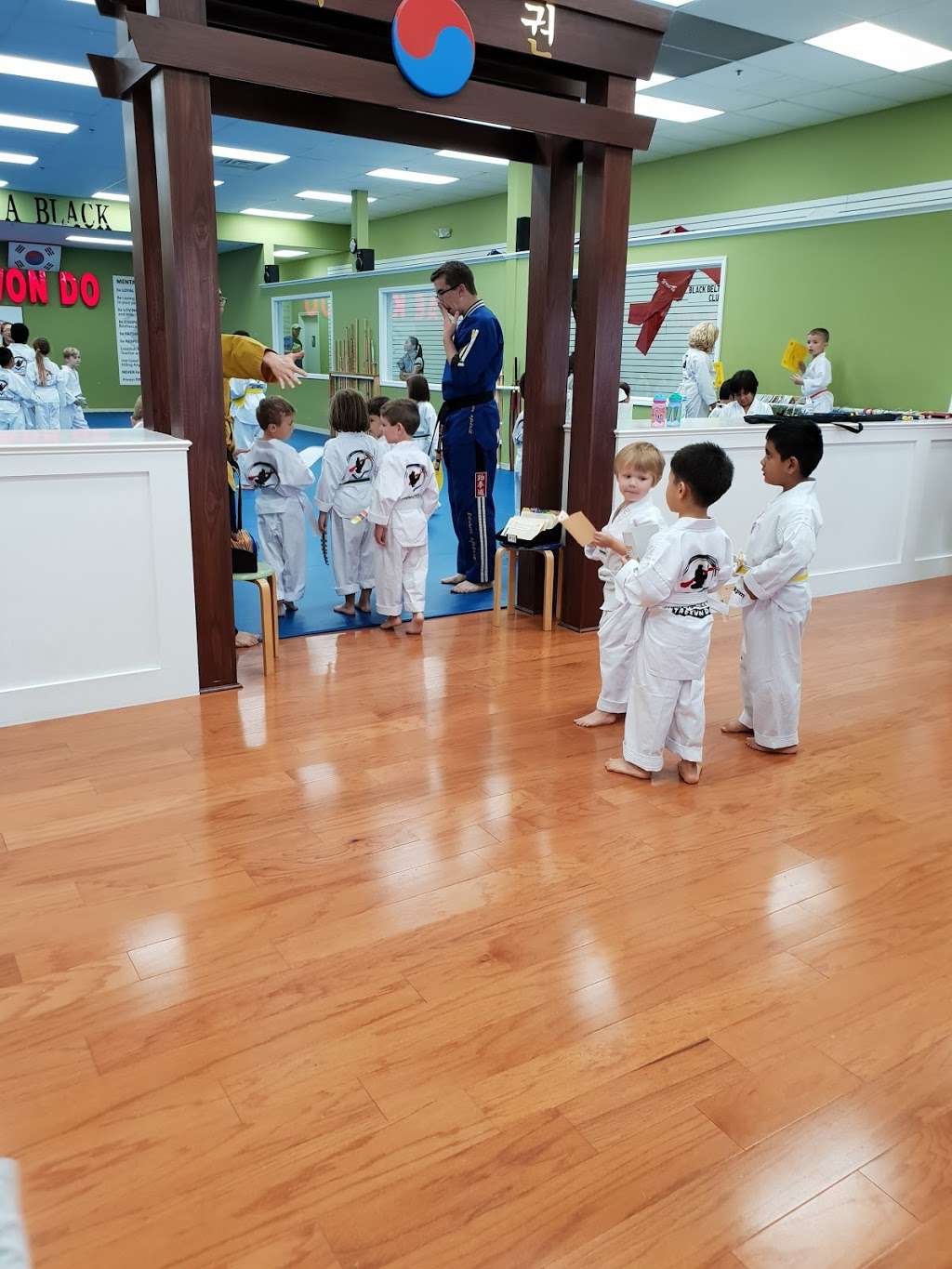 Grandmaster Lees TaekwonDo | 13642 N Meridian St, Carmel, IN 46032, USA | Phone: (317) 569-9934