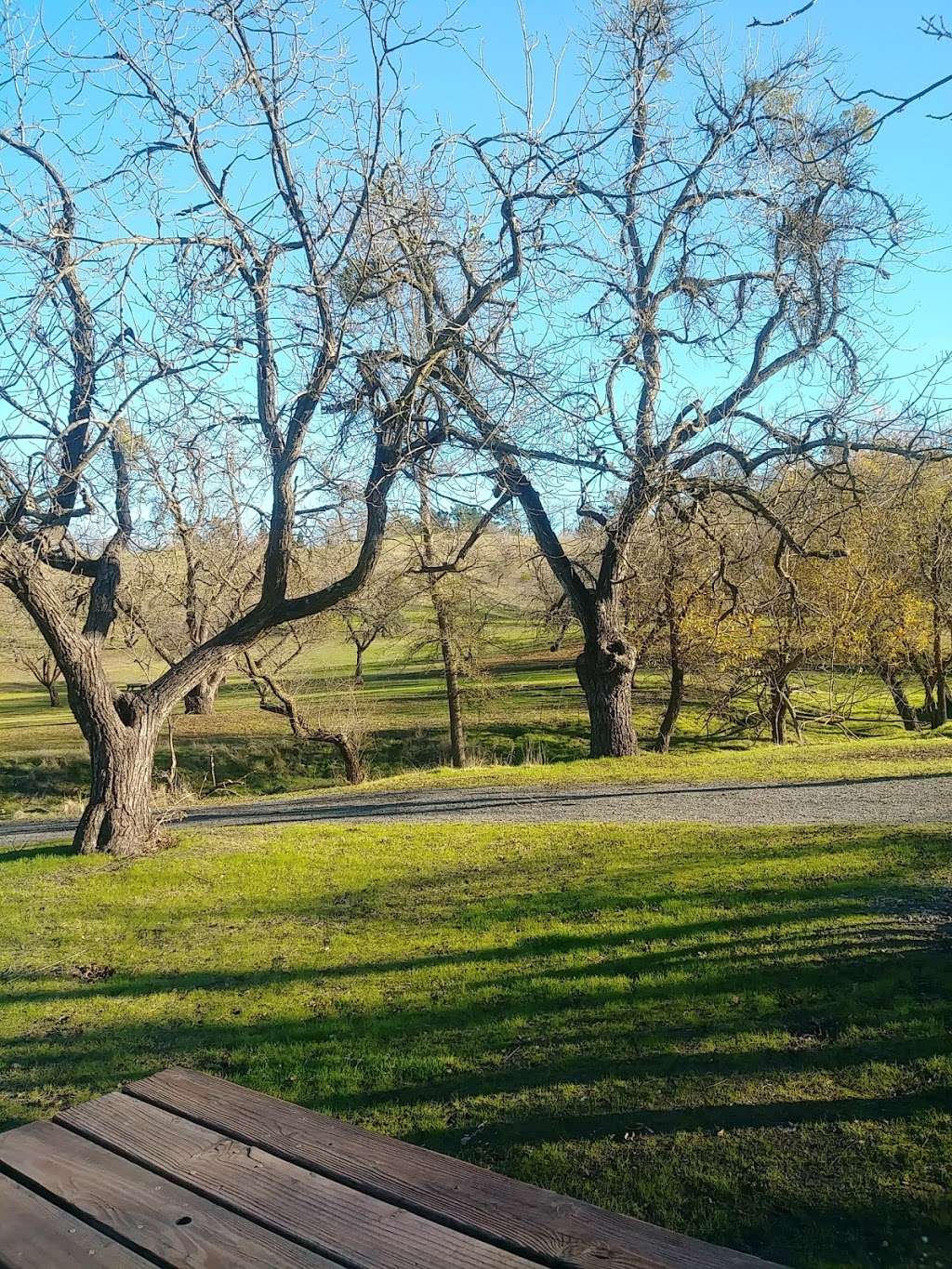 Sugarloaf Open Space | 2161 Youngs Valley Rd, Walnut Creek, CA 94596, USA | Phone: (925) 943-5800