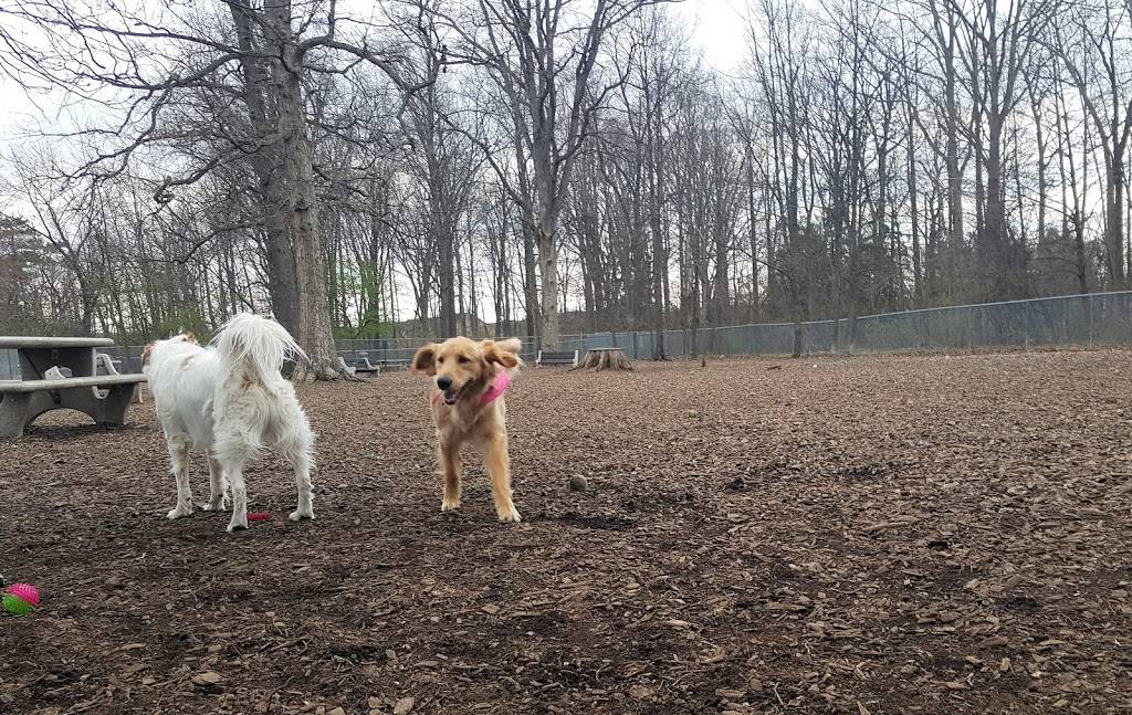 Montgomery Township Bark Park | 1228 Welsh Rd, North Wales, PA 19454, USA | Phone: (215) 393-6900