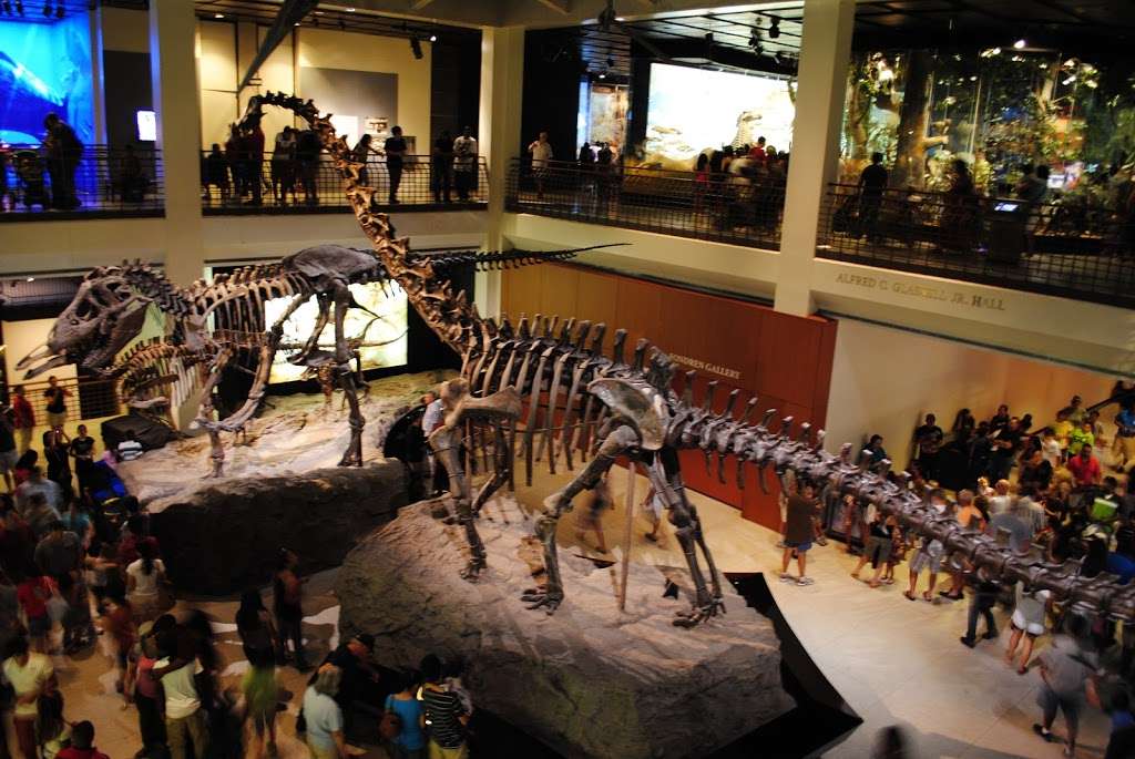 Houston Museum of Natural Science | 5555 Hermann Park Dr, Houston, TX 77030, USA | Phone: (713) 639-4629