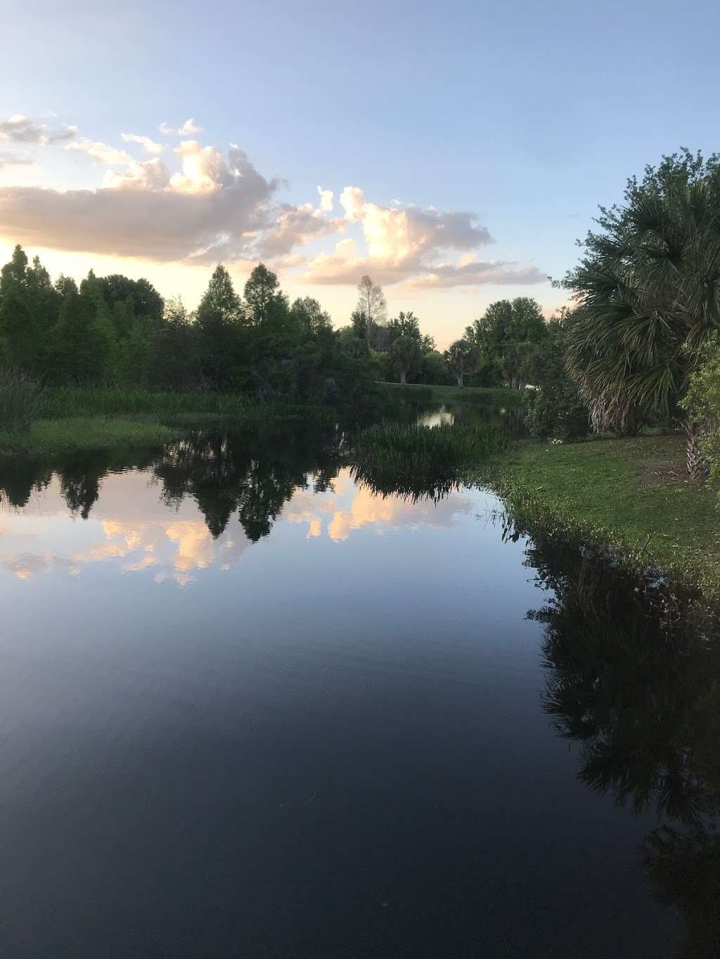 South Lake Howard Nature Park | 1570 Lake Howard Dr SW, Winter Haven, FL 33880, USA