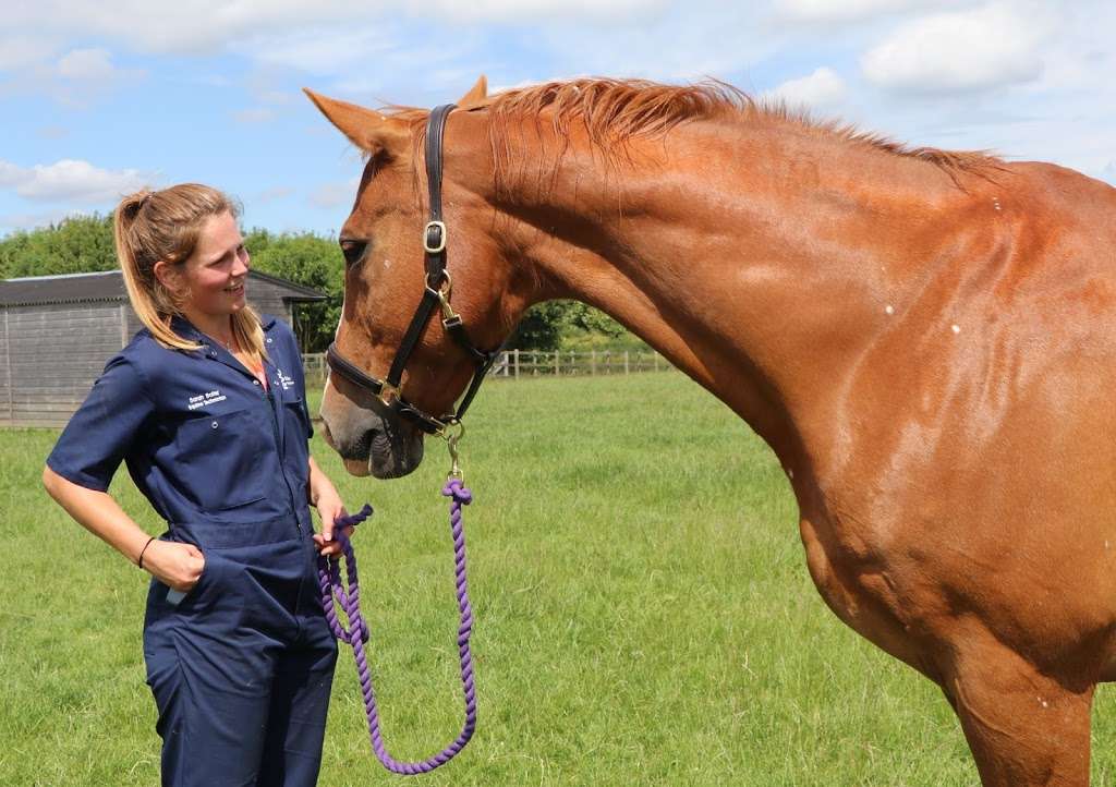 Royal Veterinary College Equine Practice and Referral Hospital | Hawkshead Ln, Brookmans Park, Hatfield AL9 7TA, UK | Phone: 01707 666297