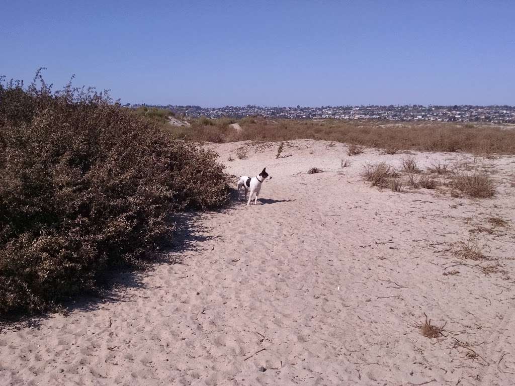 Hunting ,Training Area , North End | 493 Fiesta Island Rd, San Diego, CA 92109, USA