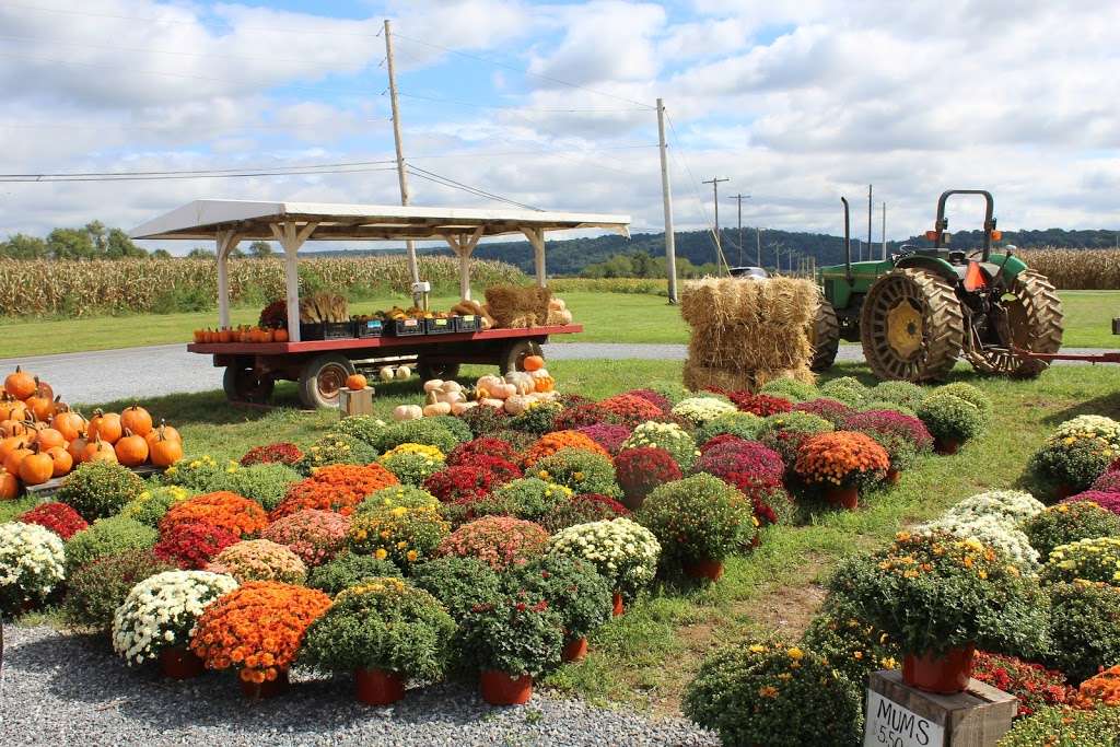 Garden Spot Farm Market | 524 New Holland Rd, New Holland, PA 17557, USA | Phone: (717) 354-5944