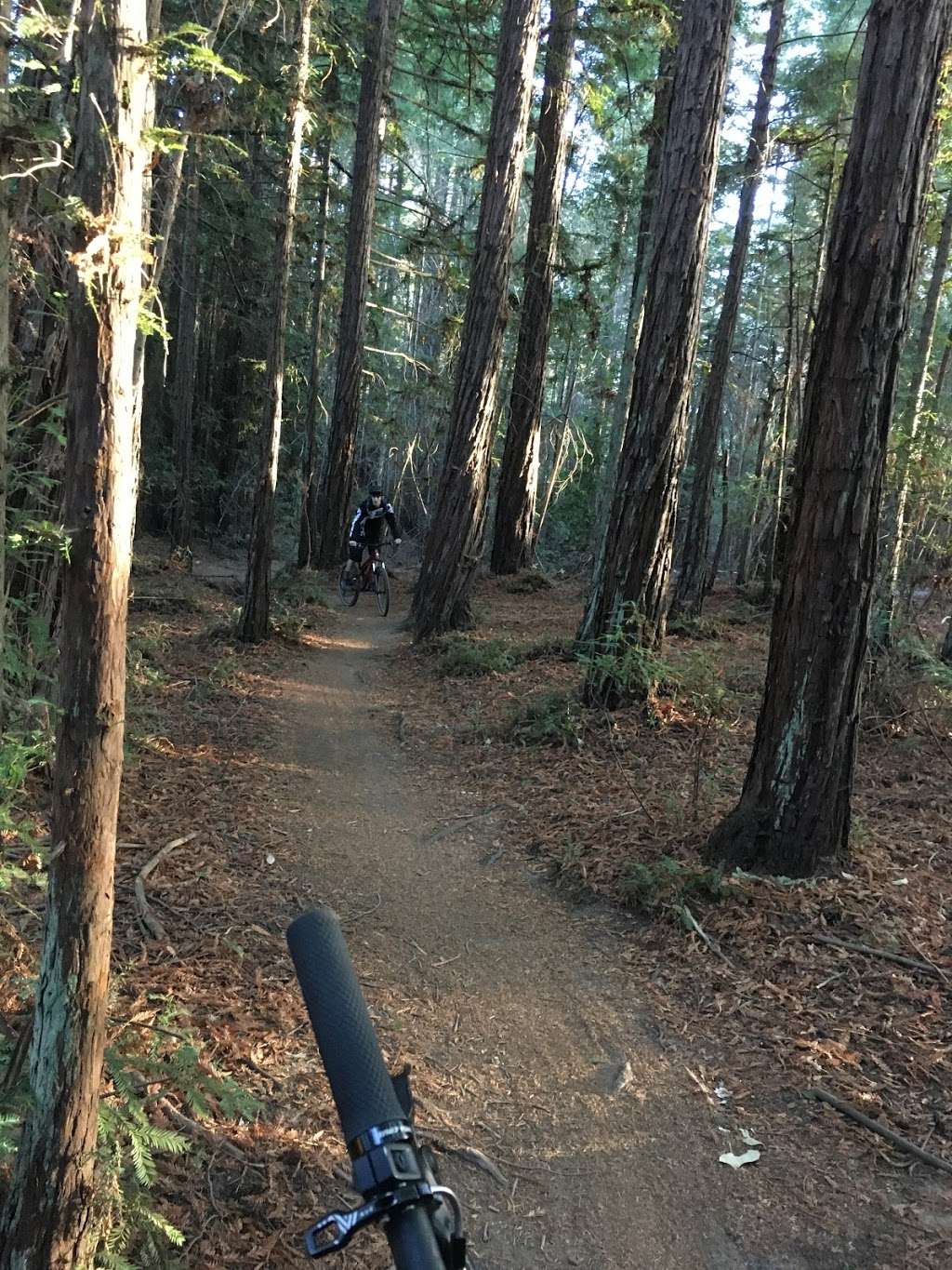 Buddha Shrine | Unnamed Road, Santa Cruz, CA 95064, USA