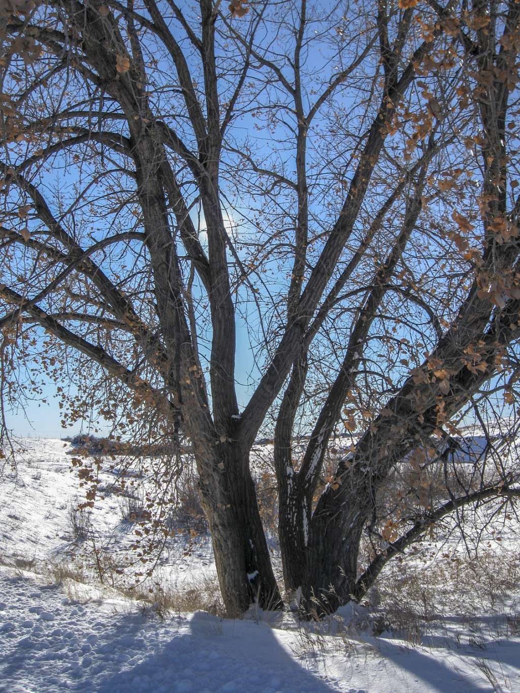 Cherry Creek Trail Pinery Trailhead | Unnamed Rd, Parker, CO 80134, USA