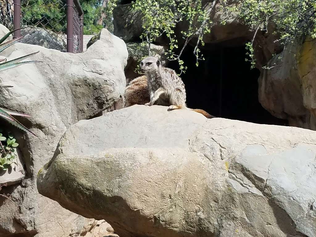 LA Zoo | Los Angeles, CA 90027