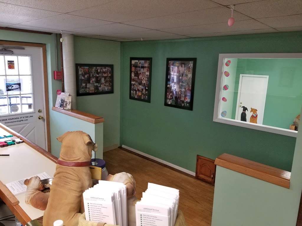 Town and Country Pet Care Center | 393 Langhorne Ave, Langhorne, PA 19053, USA | Phone: (215) 752-3661