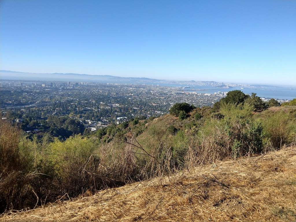 Woomb Rock | 3560 Dwight Way, Berkeley, CA 94704, USA