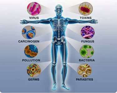 supplement/natural remedies store | 1583 W Base Line St, San Bernardino, CA 92411, USA | Phone: (818) 634-6250