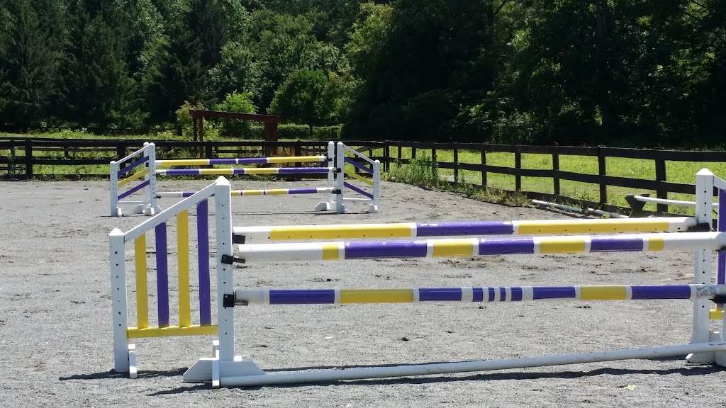 Clear Round Jumpers | 3277 Midland Rd, Midland, VA 22728 | Phone: (540) 840-5668