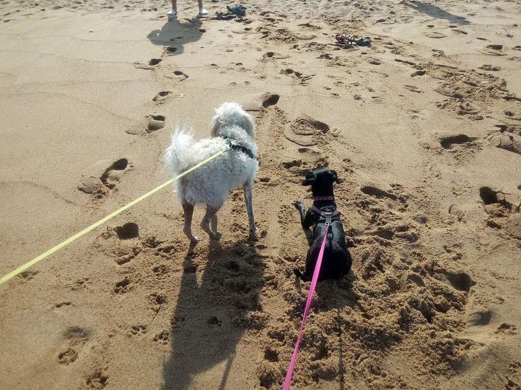 Beach Access Point | 30 55th St, Newburyport, MA 01950, USA