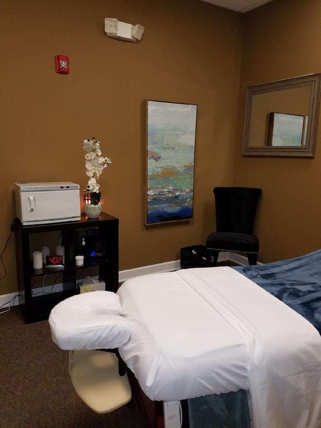 Aura Spa & Massage | 1020 104th St #100, Naperville, IL 60564, USA | Phone: (331) 229-3192