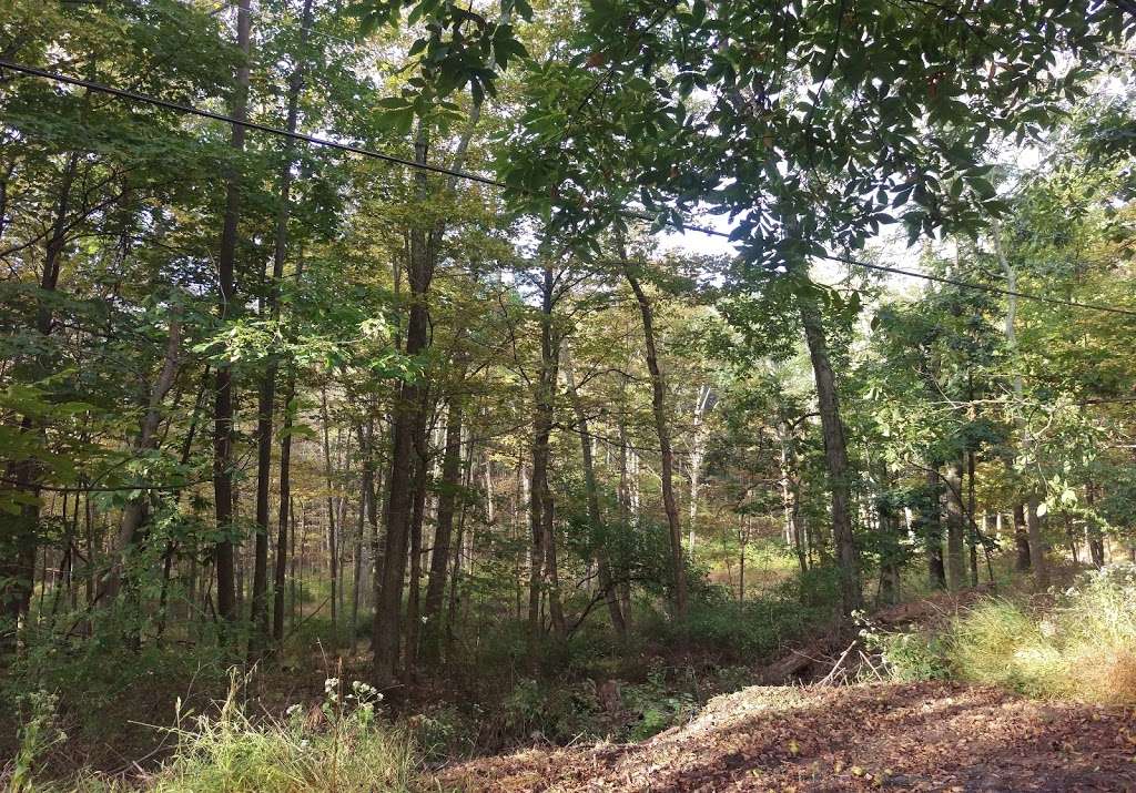 IntermodalSoft, LLC | 300 Doremus Ave, Newark, NJ 07105, USA | Phone: (973) 692-8671 IntermodalSoft, LLC | 300 Doremus Ave, Newark, NJ 07105, USA | Phone: (973) 692-8671