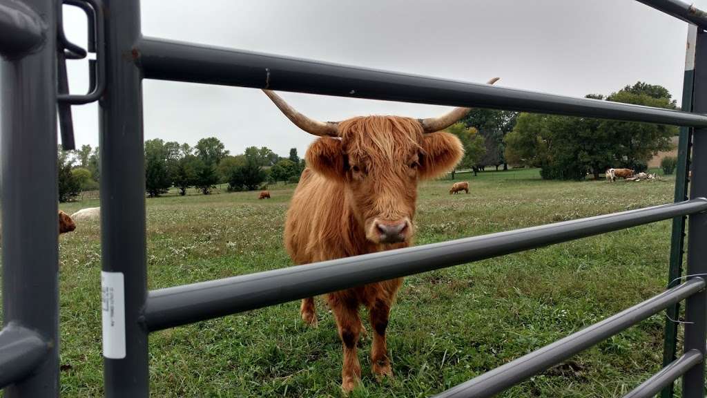 Dancing Cow Farms | 36 E 2200 Rd, Wellsville, KS 66092, USA | Phone: (913) 744-1718